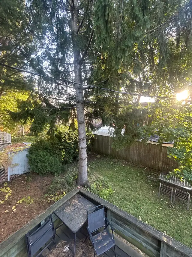 5 1/2 for Rent