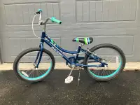 20” Raleigh bike aluminum frame