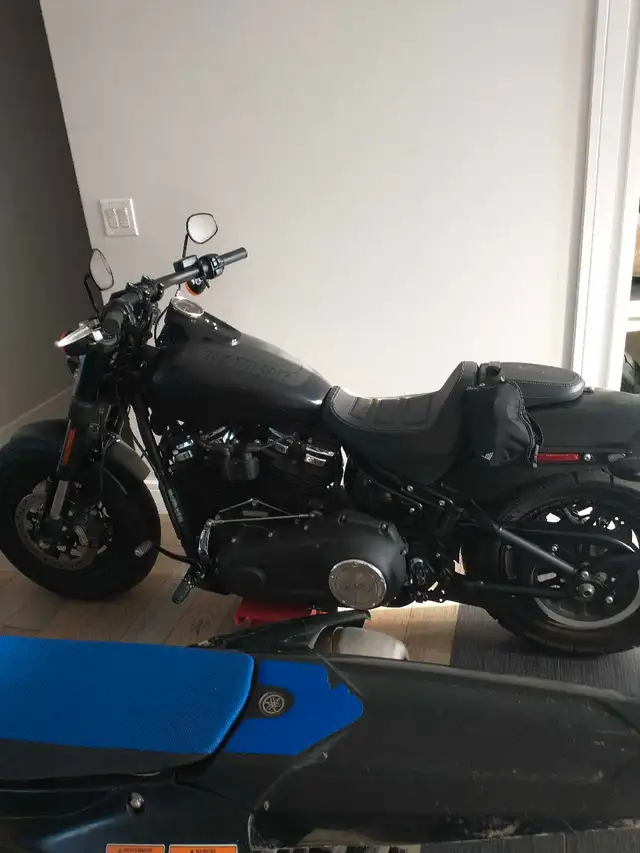 Harley Davidson 2020 in Street, Cruisers & Choppers in Edmonton - Image 3