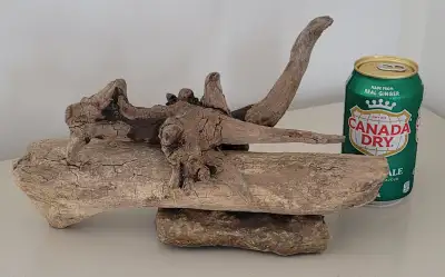 Petit Bois Flotté Accessoire sur base Aquarium Driftwood w/base, View more