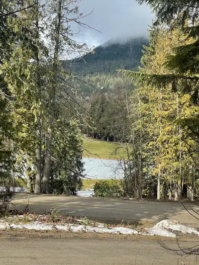 Welcome home to beautiful Crawford Bay! This lovely serviced 0.43 acre lot has been thoughtfully dev...