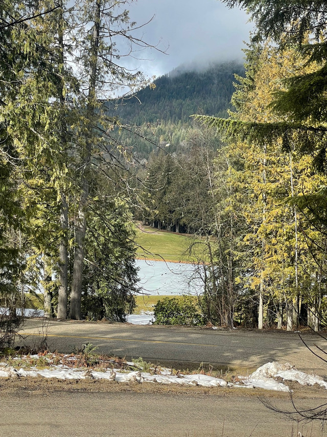 Lot 2 Selkirk Rd, Crawford Bay, BC in Land for Sale in Nelson