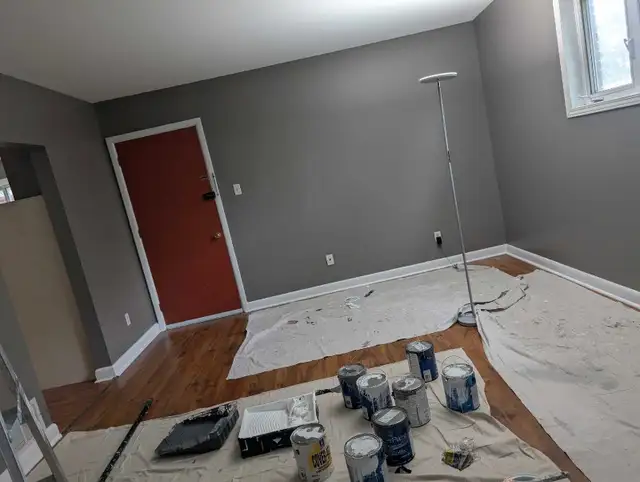 PRO PAINTER OTTAWA! 613-262-372163234805381507123