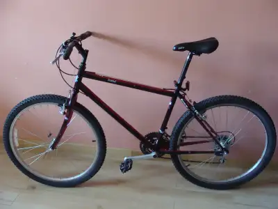 Japanese bicycle Nishiki + 4 extra tires air tubes bike velo, View more