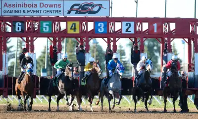 full time groom needed at Assiniboia Downs, View more