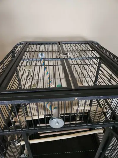 Bird Cage for sale, View more