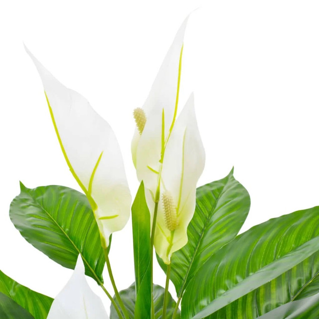 Artificial Spathiphyllum, Peace Lily Plant Modern Decoration 61" in Home Décor & Accents in Kitchener / Waterloo - Image 2