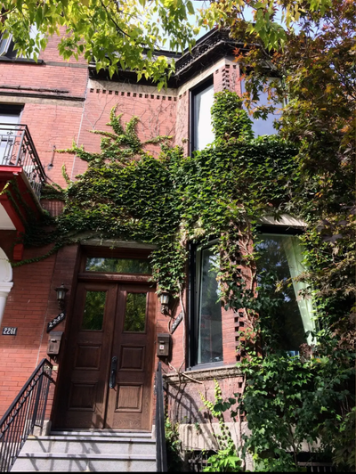 2+1 bedroom ground floor duplex with high ceilings, exposed brick walls, wood floors, and tiled and...
