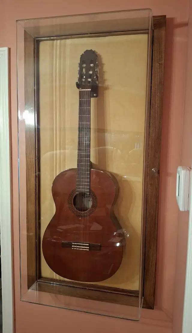 Unique Guitar Display Case in Guitars in Markham / York Region - Image 2