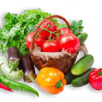 Bac hydroponique complet pour fruits et légumes
