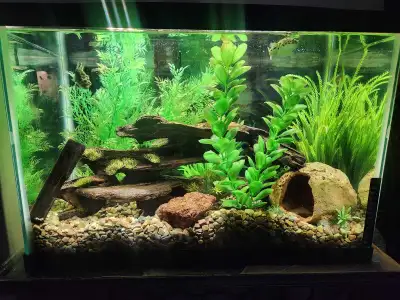 20 Gallon ( tall not long ) Aquarium, View more