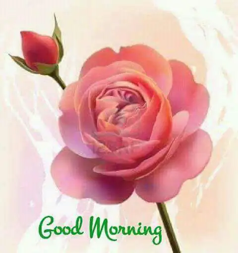 massage deep tissue493602542401638400