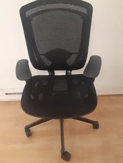 Contessa all mesh executive office chair good