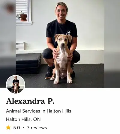 dog walker $20 off your first service, View more