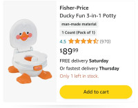 Fisher price potty