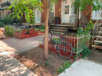 À Louer – Grand 4 ½ rénové avec terrasse privée sur le Plateau