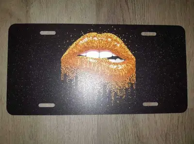 Brand New License Plate Cover Metal Sign Art