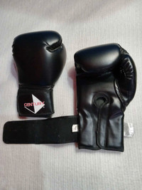 12 Oz. Boxing gloves 