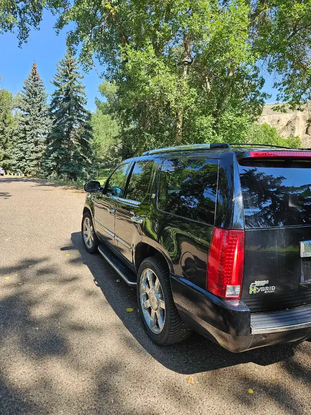 2009 Cadillac Escalade513080836616376324