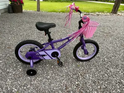 Raleigh Rawr Kid's 14" Bike, View more