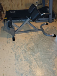 Back Hyperextension Bench