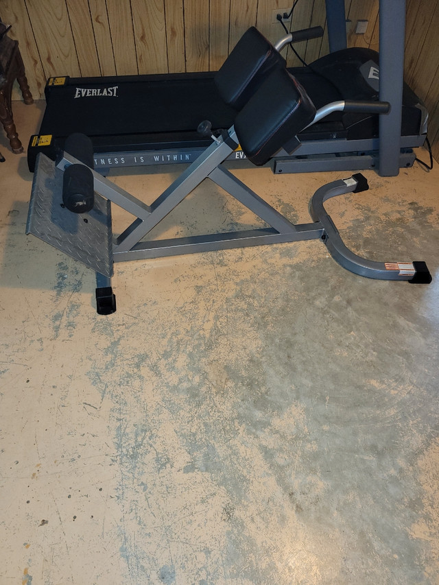 Back Hyperextension Bench in Exercise Equipment in Hamilton