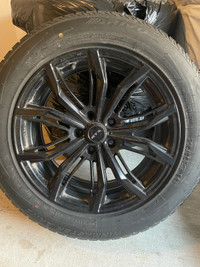 Set of Tires on Alloys 