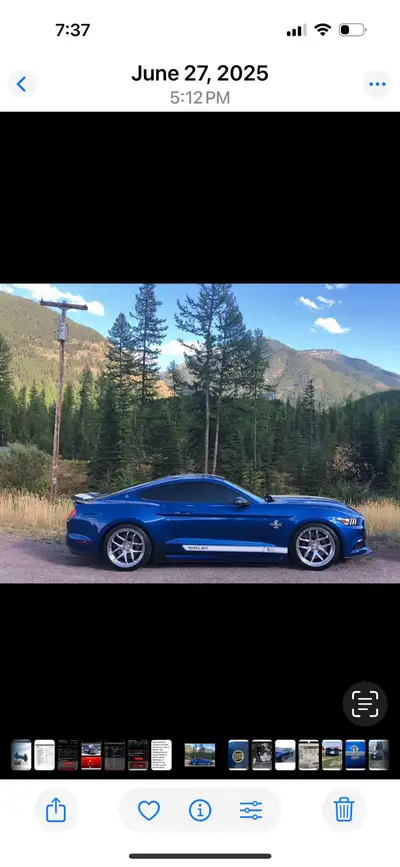 2017 Shelby supersnake 50 th anniversary full pkg 750 hp like new condition only 26k one owner. Very...