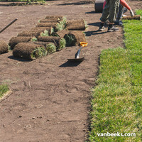 Sod services 