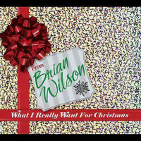 Brian Wilson - What I Really Want For Christmas cd + bonus cd