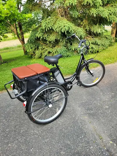 Tricycles électriques E-Bike, View more