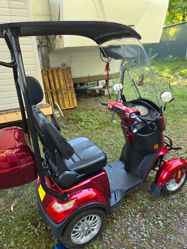 Quadriporteur Écolocycle LS avec toit 2023 dans Santé et besoins spéciaux  à Laval/Rive Nord - Image 3