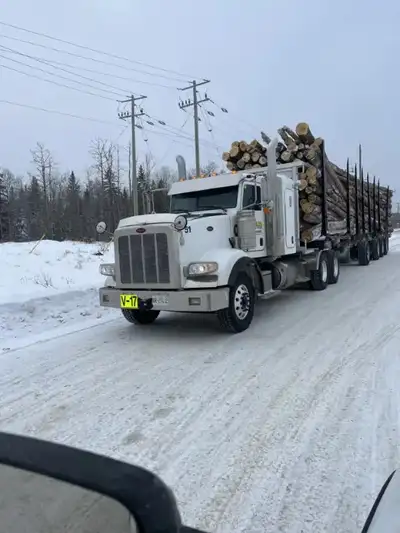 Winter Log Haul:  Experienced Driver wanted, View more