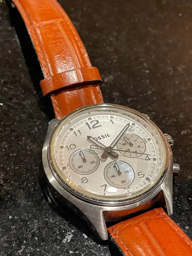 Fossil Flight62864744674561121