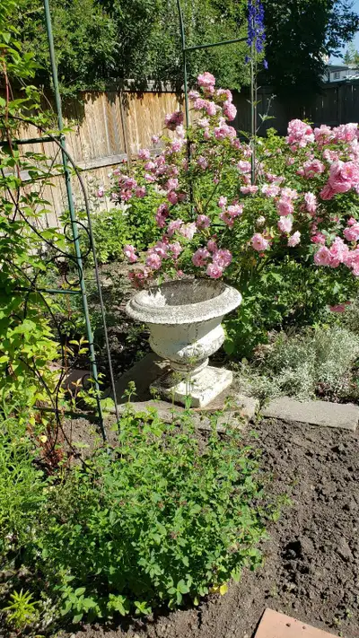 This is a lg. concrete garden urn. It is a mottled white due to age, condition is excellent. No crac...