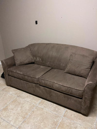 Sofa (pull-out sofa in mint condition)