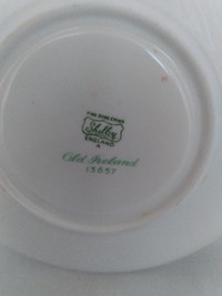 Shelley Tea Cup Saucer “ Old Ireland”