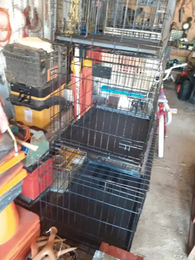 CAGE POUR CHIEN 36X24X27 40$ CAGE 30X21X24  30$ TRÈS BON ÉTAT, View more