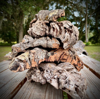 Cork bark and driftwood 