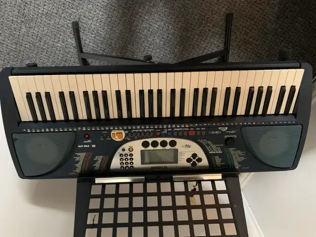 Electric keyboard 450666127310858240