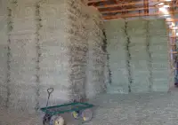 High Quality Small Square Hay Bales