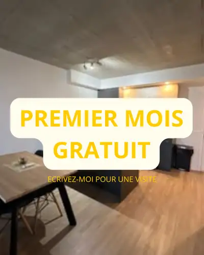 3 1/2 Semi-Meublé Mascouche Disponible Maintenant