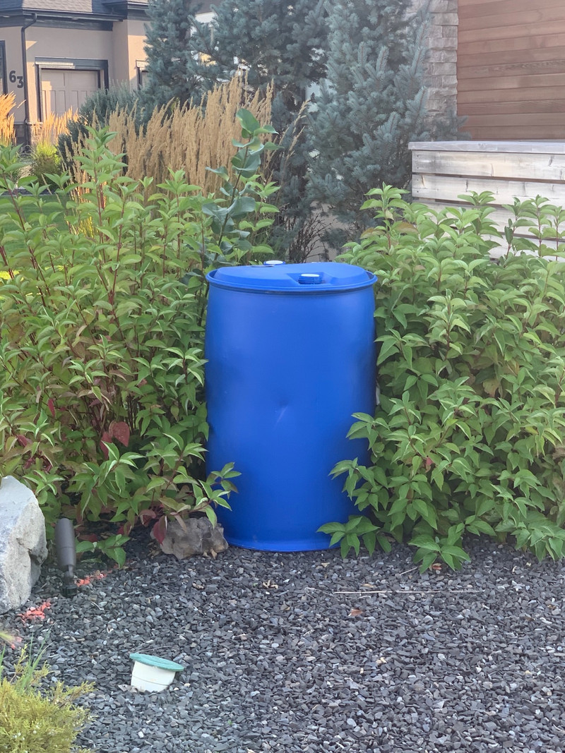 Free rain barrel Free Stuff Calgary Kijiji