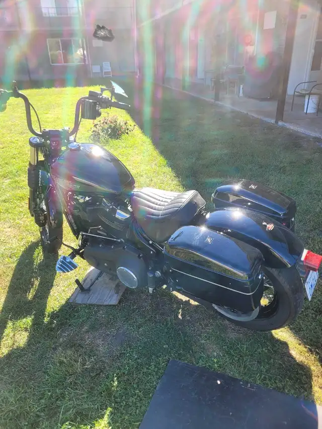 2019 harley davidson street bob in Street, Cruisers & Choppers in Windsor Region - Image 4