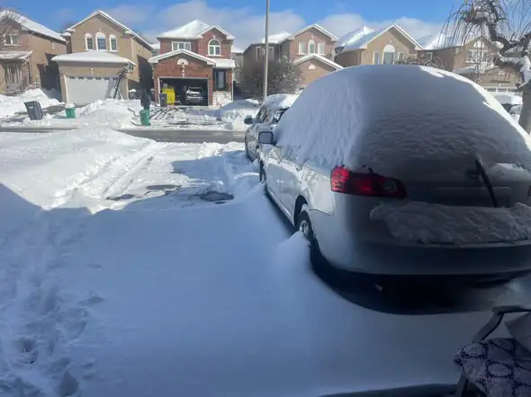 Snow Removal (GTA- SAME DAY) 65198306143361124