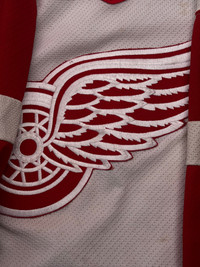Detroit red wings 