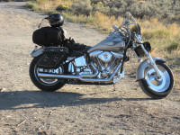 Custom 1986 Harley Davidson FXSTC.