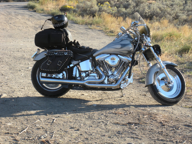 Custom 1986 Harley Davidson FXSTC. dans Utilitaires et de promenade  à Comté de Strathcona