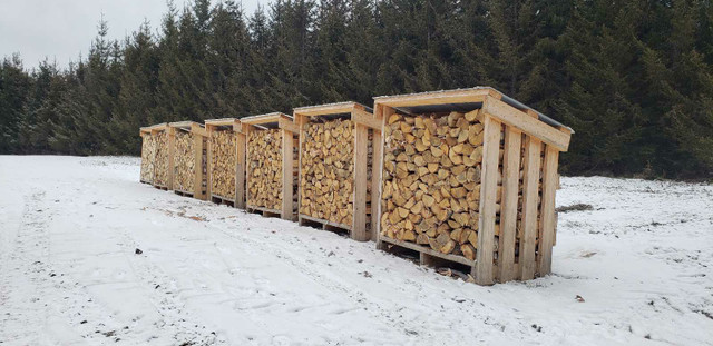 Firewood for sale!   Englehart/Charlton area in Other in Sudbury - Image 4