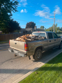 Dry firewood